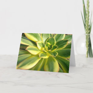Tarjeta de nota colorida del Succulent #2