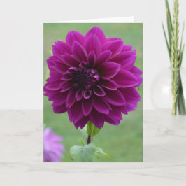 Tarjeta de nota con dahlia violeta en el jardín