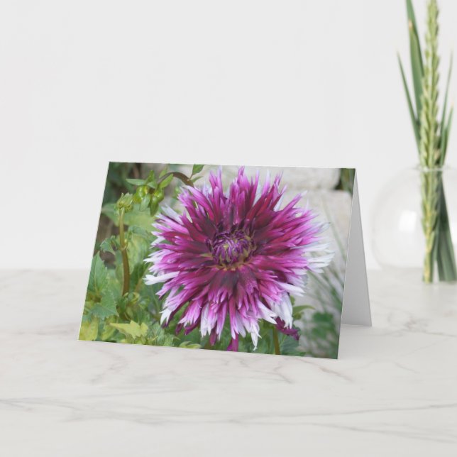 Tarjeta de nota con dalia morada y blanca (Anverso)