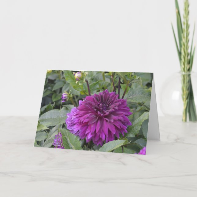 Tarjeta de nota con dalia violeta en el jardín (Anverso)