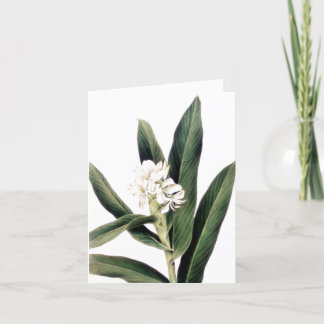 Tarjeta de nota con flor blanca