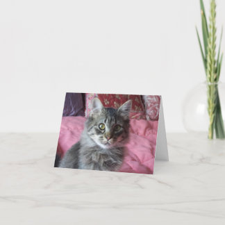Tarjeta de nota con foto de gatito
