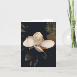 Tarjeta de nota con Magnolia Blossom
