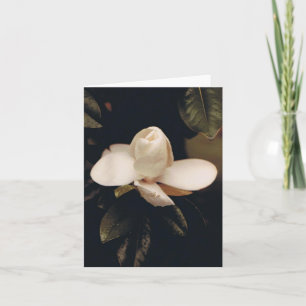 Tarjeta de nota con Magnolia Blossom
