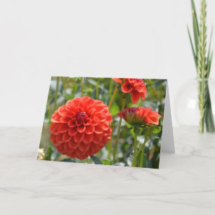 Tarjeta de nota con naranja dahlia