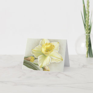 Tarjeta de nota Daffodil