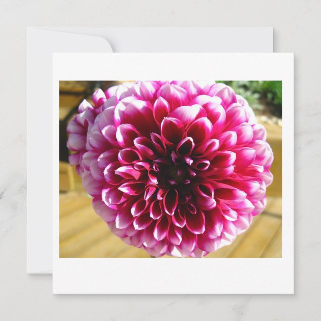 Tarjeta de nota Dahlia Dahlia Dahlia (Anverso)