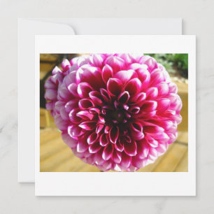 Tarjeta de nota Dahlia Dahlia Dahlia