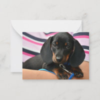 Tarjeta de nota de acopio de dachshund - Tarjeta d