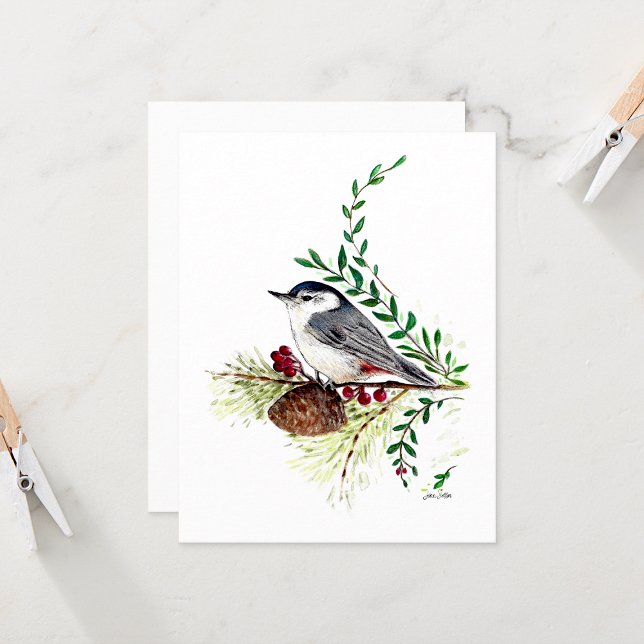 Tarjeta de nota de acuarela hermosa de trepatronco (Nuthatch Beautiful Watercolor Blank Note Cards from Jenn Steffen Art)