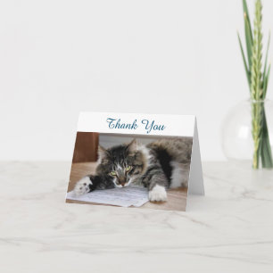Tarjeta de nota de agradecimiento a gato musical