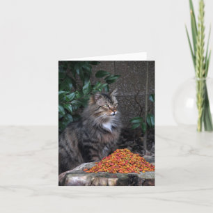 Tarjeta de nota de agradecimiento a un gato con un