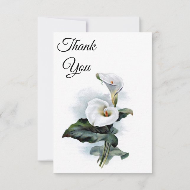 Tarjeta de nota de agradecimiento de Calla Lily (Anverso)