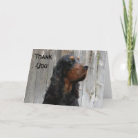 Tarjeta de nota de agradecimiento de Gordon Setter