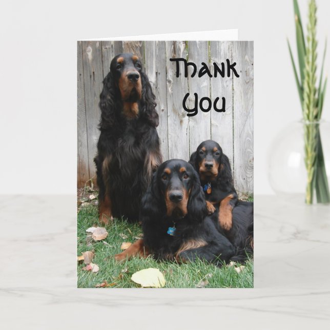 Tarjeta de nota de agradecimiento de Gordon Setter (Anverso)
