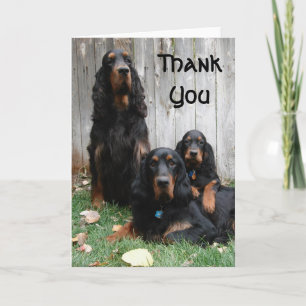 Tarjeta de nota de agradecimiento de Gordon Setter