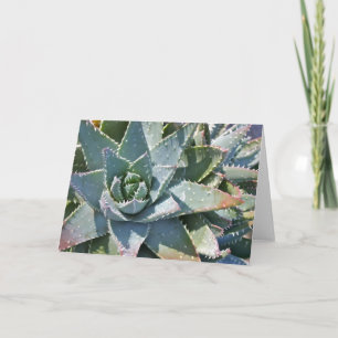 Tarjeta de nota de Aloe por Debra Lee Baldwin