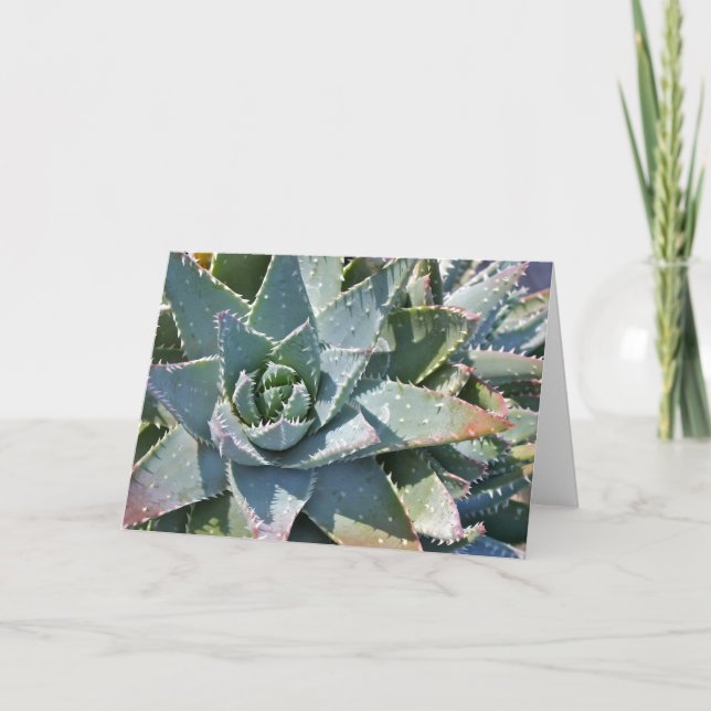 Tarjeta de nota de Aloe por Debra Lee Baldwin (Anverso)