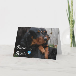 Tarjeta de nota de amistad de Gordon Setter Pals