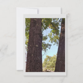 Tarjeta de nota de árbol de roble