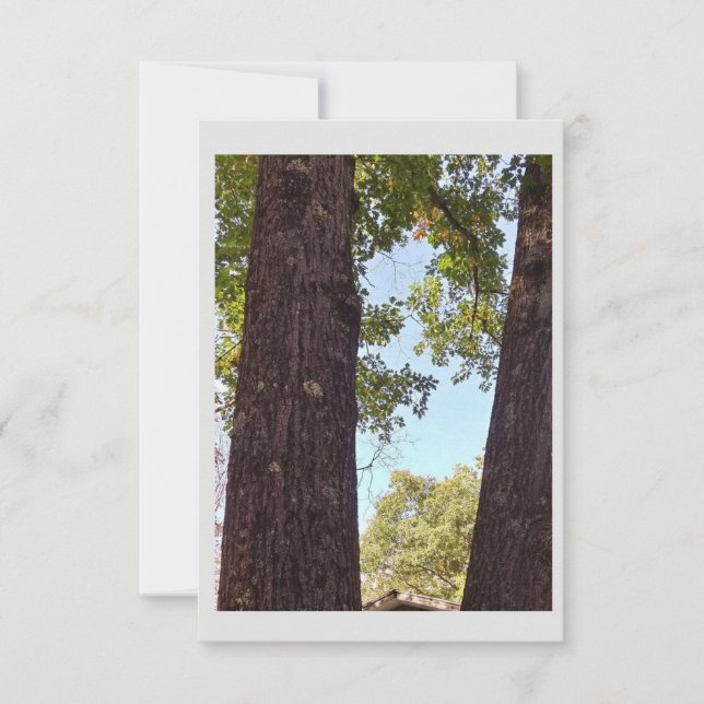 Tarjeta de nota de árbol de roble (Anverso)