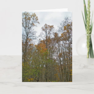 Tarjeta de nota de árboles de otoño contra cielo g