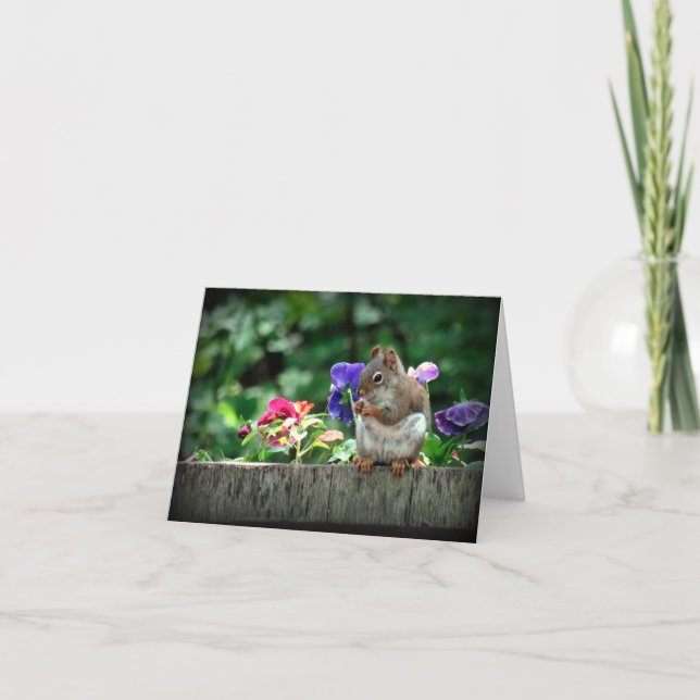 Tarjeta de nota de ardilla (Anverso)