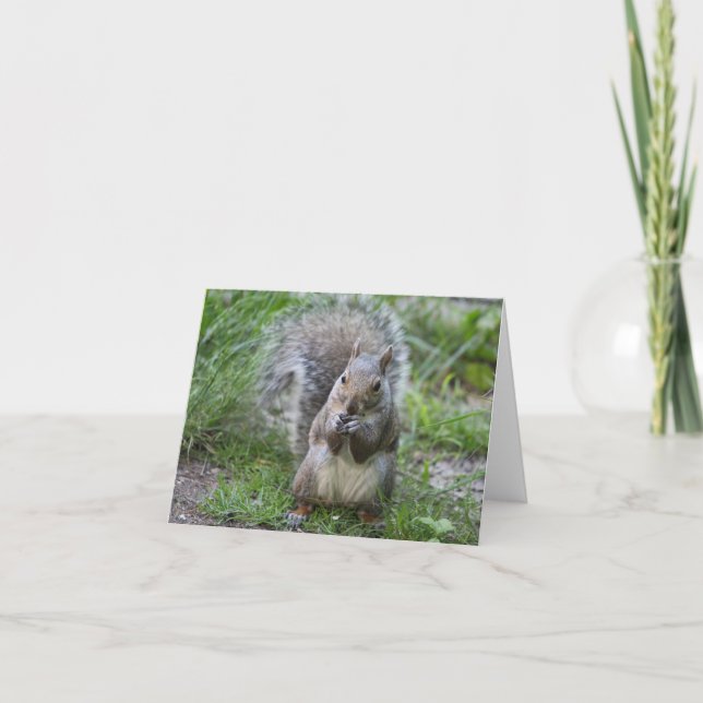 Tarjeta de nota de ardilla (Anverso)