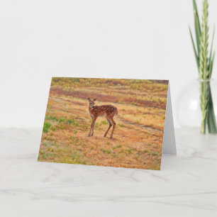 Tarjeta de nota de arte animal salvaje Baby Deer F