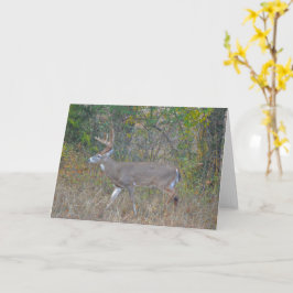 Tarjeta de nota de arte Big Buck Deer en Texas