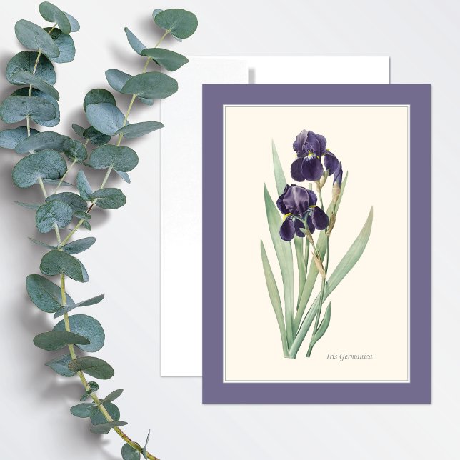 Tarjeta de nota de arte botánico Purple Iris Germa (Subido por el creador)