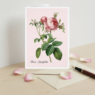 Tarjeta de nota de arte botánico rosa rosa rosa