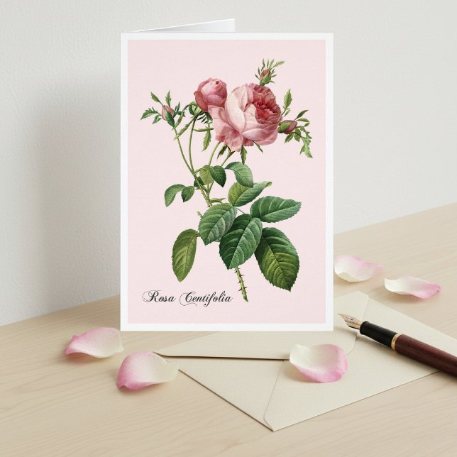Tarjeta de nota de arte botánico rosa rosa rosa (Subido por el creador)