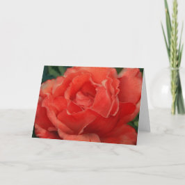 Tarjeta de nota de arte Coral Naranja Rojo Rosa