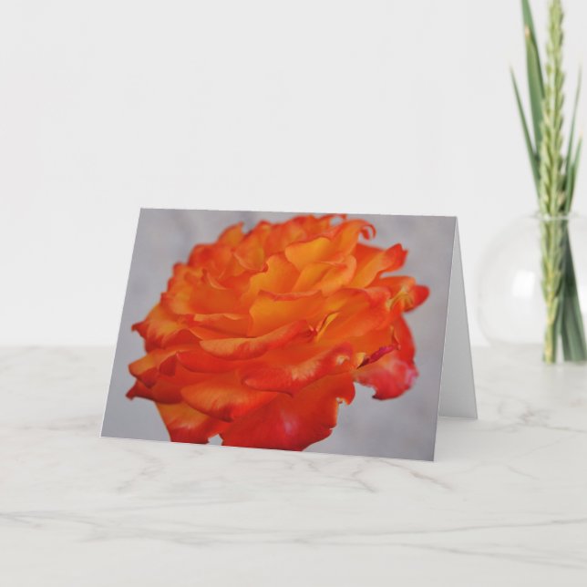 Tarjeta de nota de arte de flor Rosa Naranja brill (Anverso)