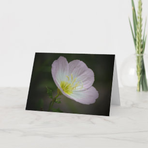Tarjeta de nota de arte de flor silvestre Primrose