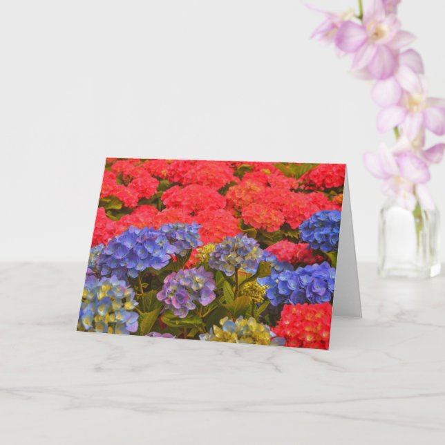 Tarjeta de nota de arte de los jardines de flores  (Orquídea)