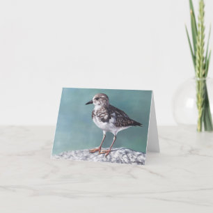 Tarjeta de nota de arte de pájaro Plover Shore