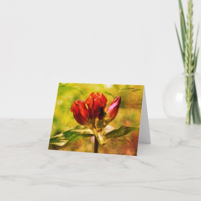 Tarjeta de nota de arte floral gentiana roja (Anverso)