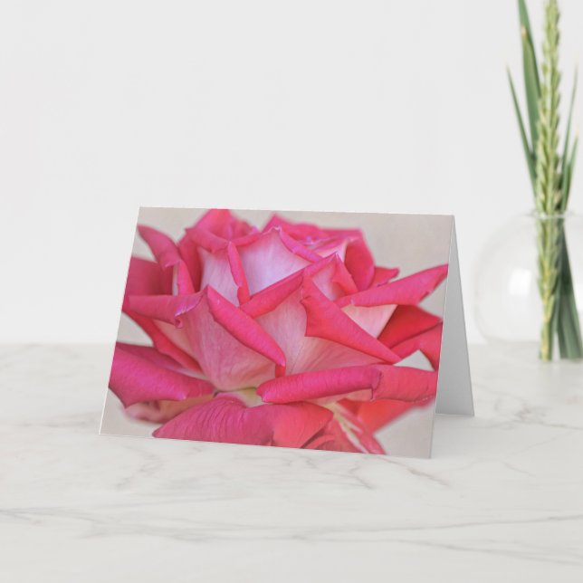 Tarjeta de nota de arte fotográfico rosa rosa de b (Anverso)