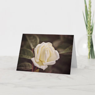 Tarjeta de nota de arte rosa blanco puro