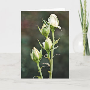 Tarjeta de nota de arte Rosa Bud Bunch