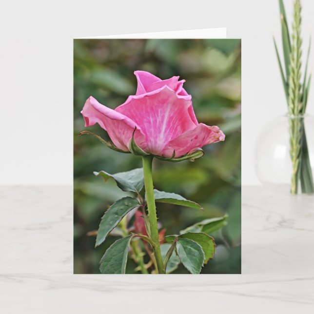 Tarjeta de nota de arte rosa rosa alto (Anverso)