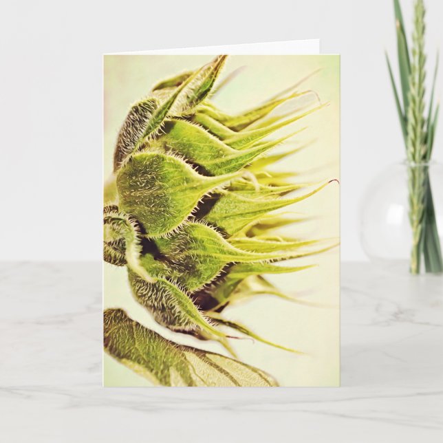 Tarjeta de nota de arte Sunflower Green Profile (Anverso)