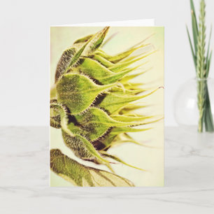 Tarjeta de nota de arte Sunflower Green Profile