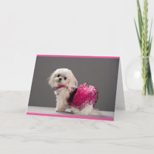 Tarjeta de nota de Ava