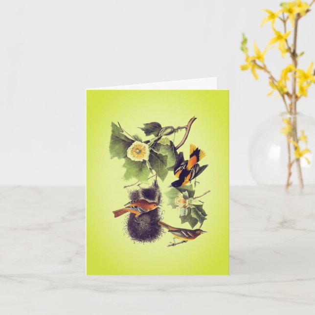 Tarjeta de Nota de Aves Audubónicas de Troupial Or (flor amarilla)