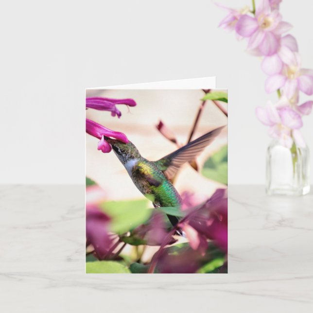 Tarjeta de nota de barrido (Orquídea)