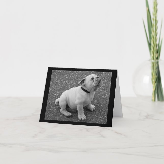 Tarjeta de nota de bienvenida en blanco para perro (Anverso)
