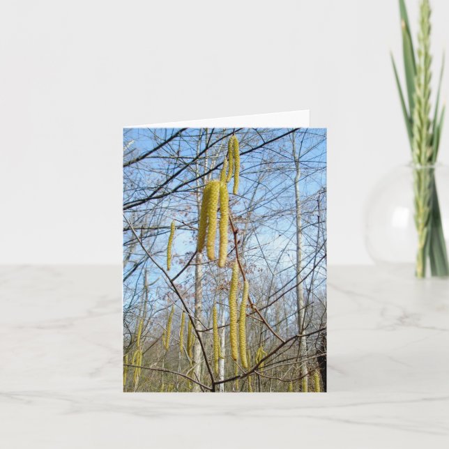 Tarjeta de nota de Birch Catkins (Anverso)